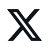 X icon